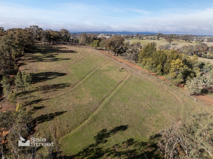 Click to view all images 1161 Amaroo Road Borenore NSW 2800 - Image 3