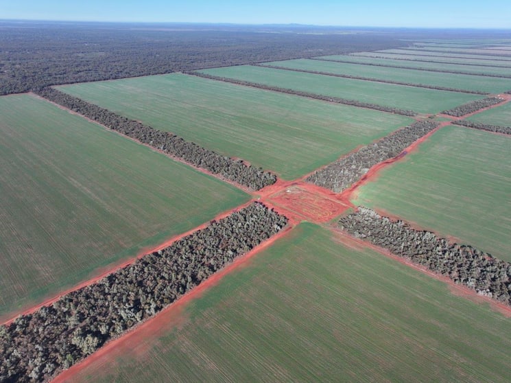 Click to view all images 'Harolds', 2005 Palesthan Road Euabalong NSW 2877 - Image 1