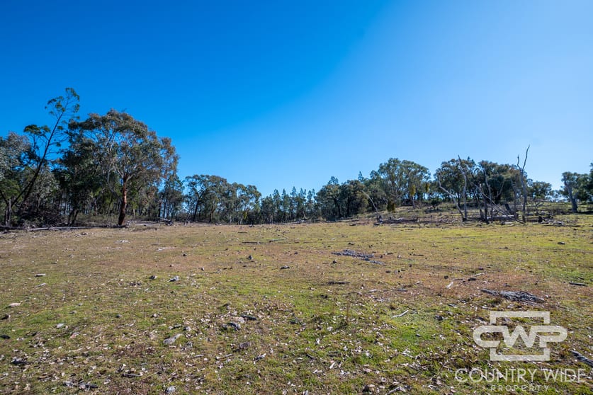 Click to view all images 16, 18, - Emmaville Rd Emmaville NSW 2371 - Image 3
