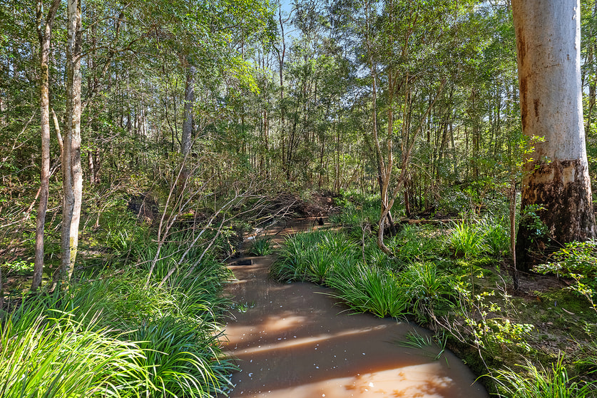 Click to view all images 2326 Booral Road Booral NSW 2425 - Image 3