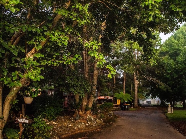 Click to view all images Caravan Park business for sale in Dorrigo - Image 3