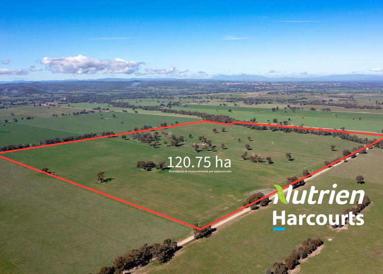 CA 42 & 43 / PP2180 Boralma-Rutherglen Road Springhurst VIC 3682 - Image 1