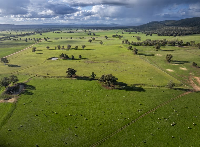 Narrakup 323 Clayneys Road Warraderry NSW 2810 - Image 3
