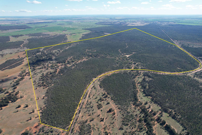 Click to view all images 4546 The Bogan Way Tottenham NSW 2873 - Image 3