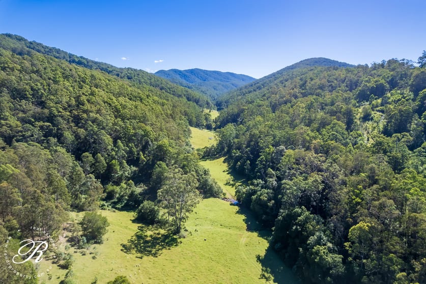 Click to view all images 2263 Monkerai Road Monkerai NSW 2415 - Image 3