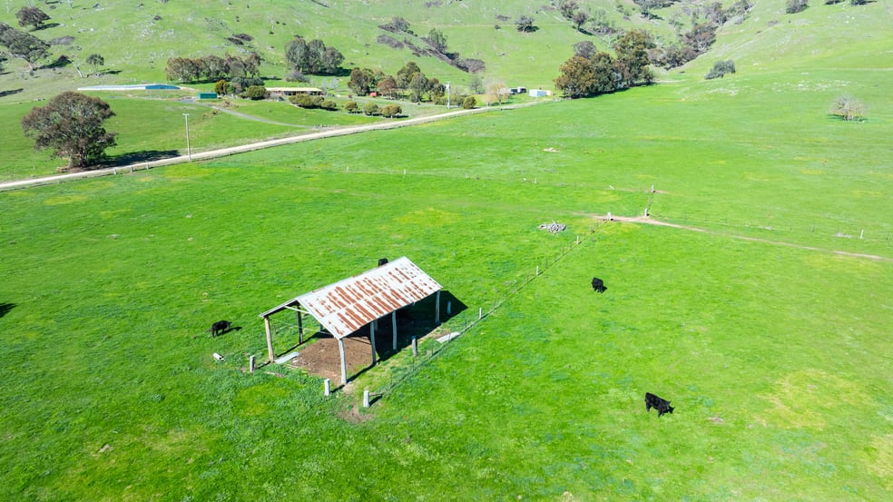 Click to view all images 591 Murray Valley Highway Tallangatta VIC 3700 - Image 3