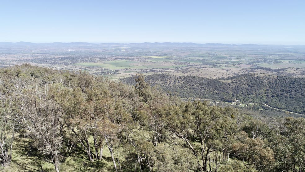 Click to view all images 34 Joshua Place Moore Creek NSW 2340 - Image 2