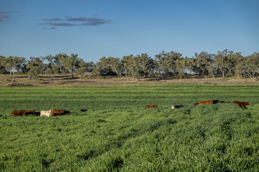 Click to view all images 127 Flemings Road Jondaryan QLD 4403 - Image 1