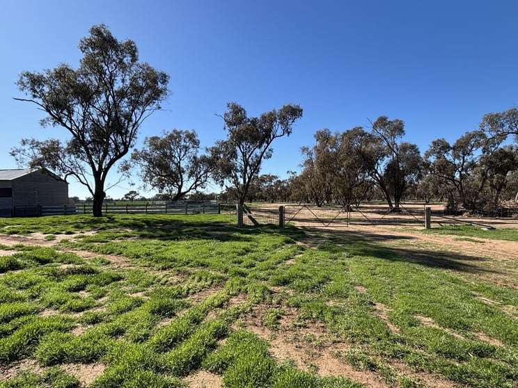 Click to view all images Cleary Road Sea Lake VIC 3533 - Image 3