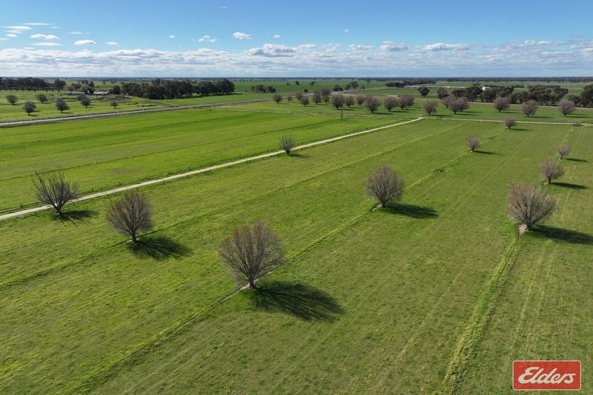 1683 ODEA Odea Road Echuca VIC 3564 - Image 2