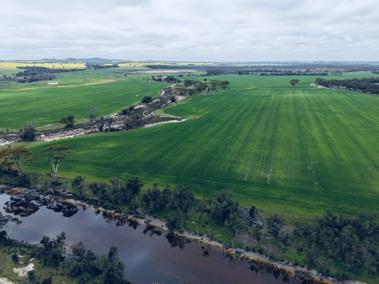 Click to view all images 501 & 502 Yenyening Lakes Road Bally Bally WA 6304 - Image 1