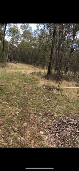 Click to view all images Lot 190 Golden Glow Road Tara QLD 4421 - Image 2