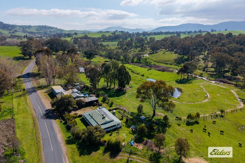553 Sandy Creek Road Sandy Creek VIC 3695 - Image 1
