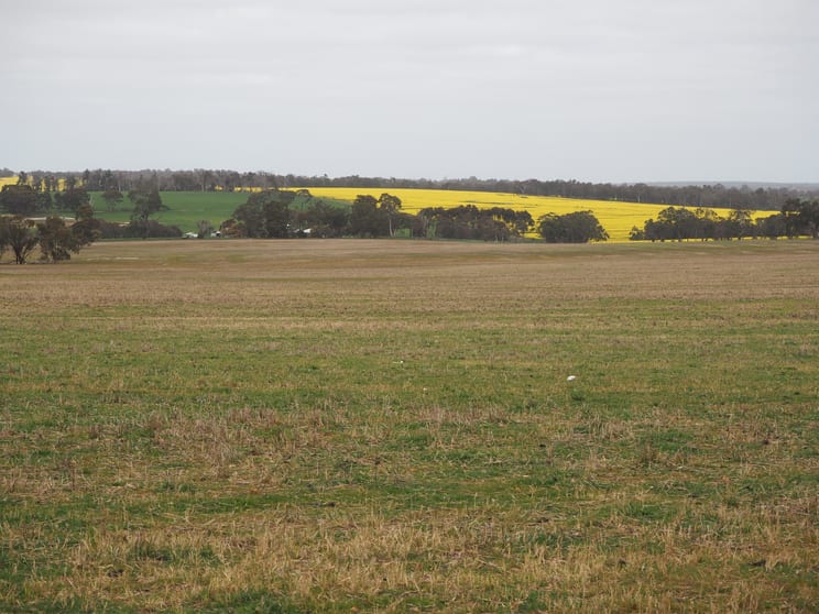 Click to view all images Dowrene Farm, Cnr Yerriminup and Yarralena Roads Cranbrook WA 6321 - Image 3