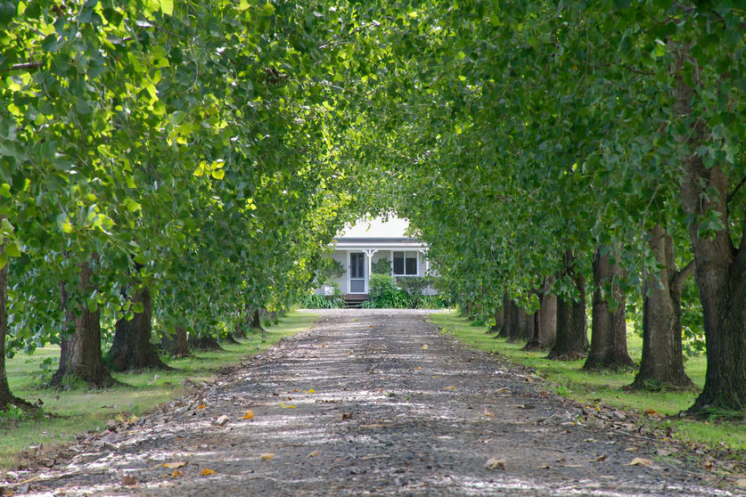 365 Knights Road Kyogle NSW 2474 - Image 2