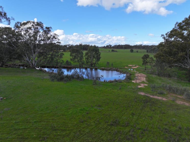 Click to view all images - Bendigo-Tennyson Road Huntly VIC 3551 - Image 2
