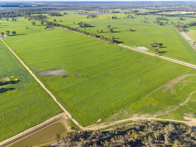 Click to view all images 210 Waser Road Strathmerton VIC 3641 - Image 3