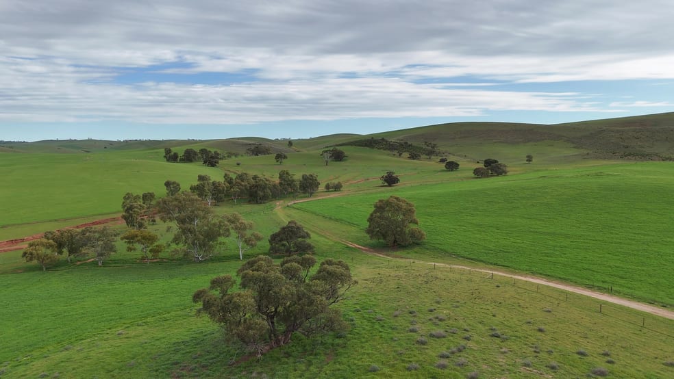 Click to view all images 'Broughton Valley' 1 Euromina Road Broughton River Valley SA 5454 - Image 3