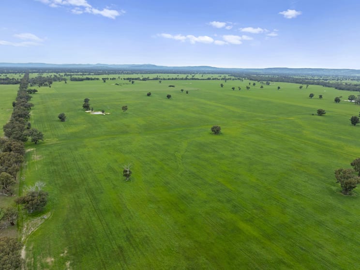 Click to view all images Williams Road Nagambie VIC 3608 - Image 1