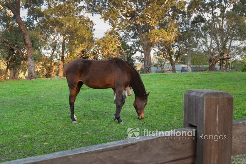 Click to view all images 41 Tschampions Road Macclesfield VIC 3782 - Image 3
