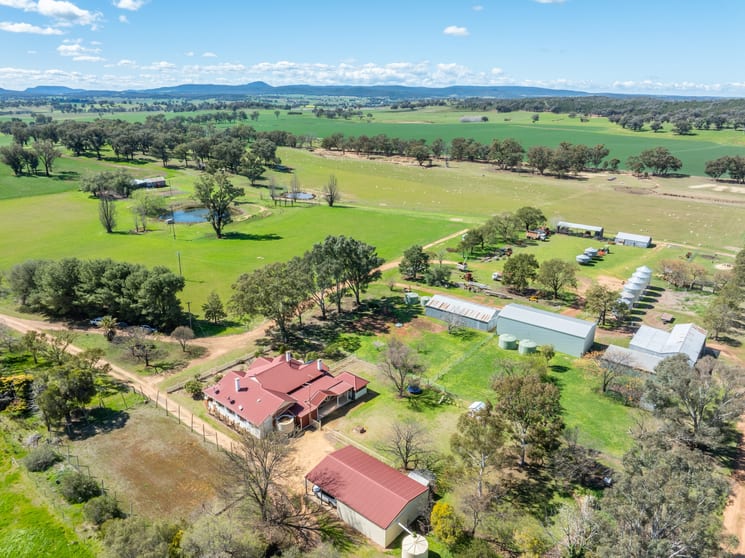 Click to view all images 100 Grahams Lane Grenfell NSW 2810 - Image 1
