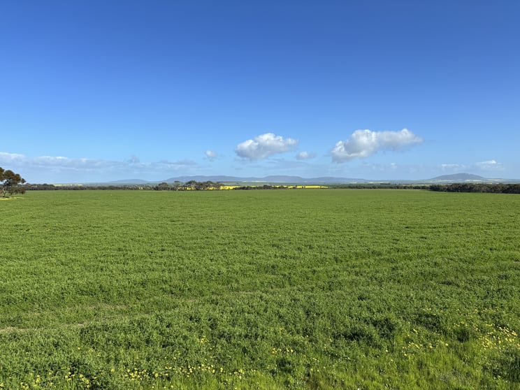 Click to view all images Lot 147 Charlton Gully Road Wanilla SA 5607 - Image 3
