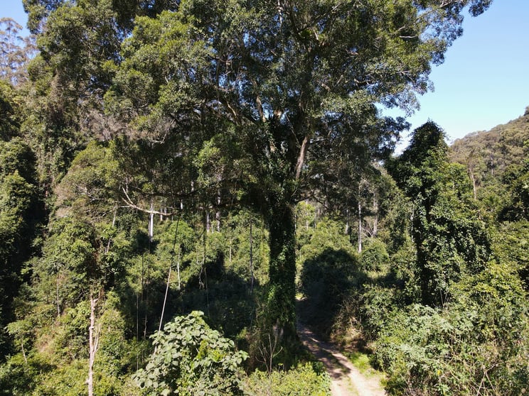 Click to view all images 251 Moores Road Dungog NSW 2420 - Image 3