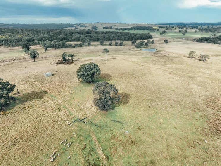 Click to view all images 13999 Golden Hwy Dunedoo NSW 2844 - Image 2