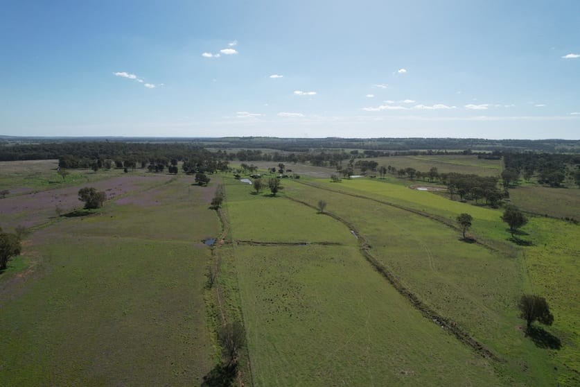 622 Old Rosemount Road Quinalow QLD 4403 - Image 2