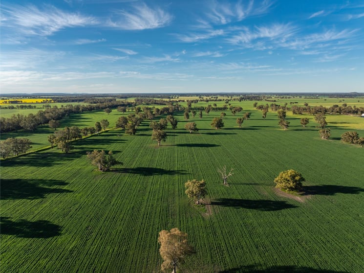 369 McKenzies Road Galore NSW 2650 - Image 1