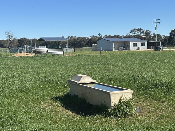 Click to view all images 4332 Olympic Highway Henty NSW 2658 - Image 1