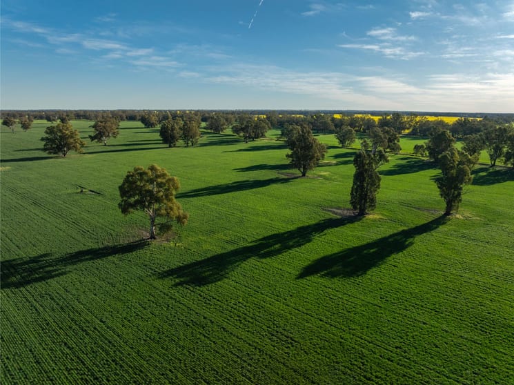 Click to view all images 369 McKenzies Road Galore NSW 2650 - Image 3