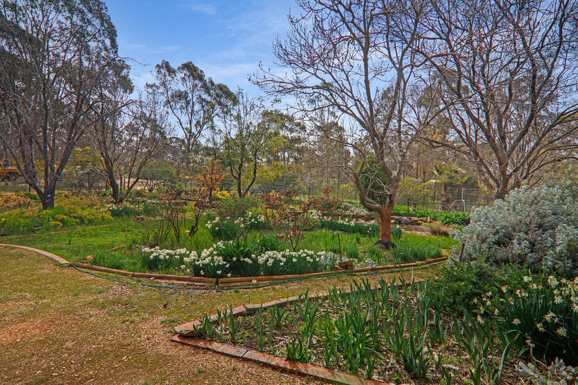 Click to view all images Centre Road Carapooee West VIC 3477 - Image 3