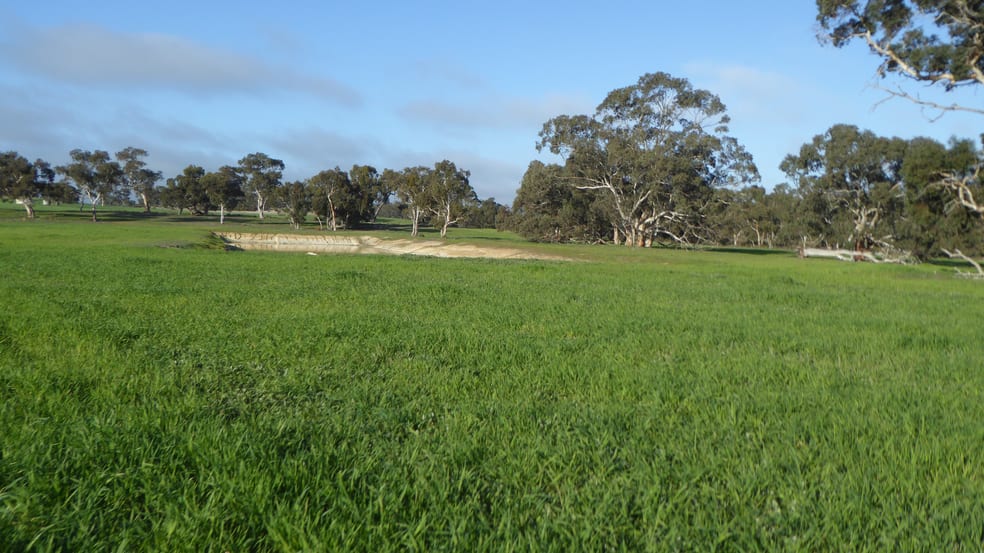Click to view all images "Wyruna" 2989 Naracoorte Road Western Flat SA 5268 - Image 3
