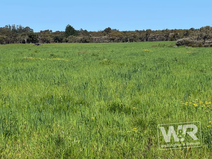 Lot 5282 Siding Road Redmond WA 6327 - Image 2