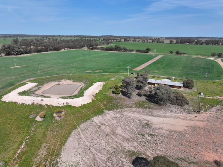 'Dundee', 122 Winters Lane West Wyalong NSW 2671 - Image 1