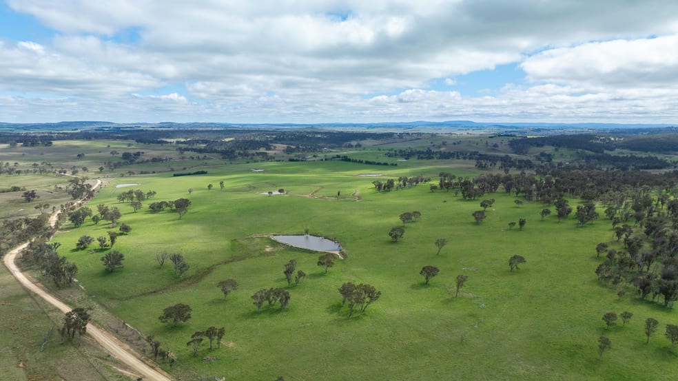 'Ardaminga' Linfield Road Armidale NSW 2350 - Image 1