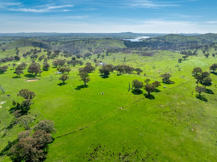 321 Mount Macquarie Road Carcoar NSW 2791 - Image 1