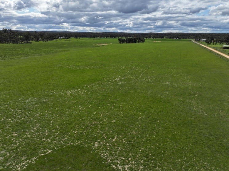 457 Scenic Road Eddington VIC 3472 - Image 2