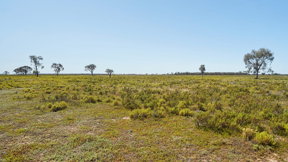 1378 Keewong Lane Coonamble NSW 2829 - Image 3