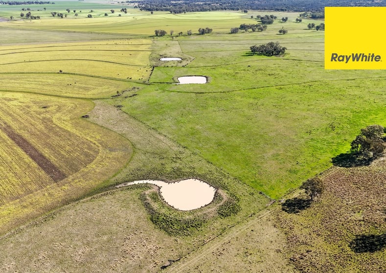 Click to view all images 231 Middletons Lane Inverell NSW 2360 - Image 1