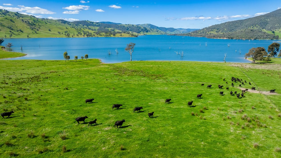 Click to view all images 1523 Murray River Road Talgarno VIC 3691 - Image 3