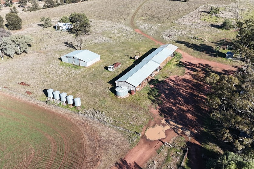 195 Curra Lane Peak Hill NSW 2869 - Image 3