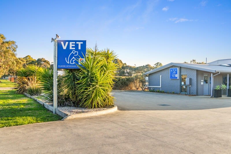 Medical  business for sale in Kilmore - Image 2