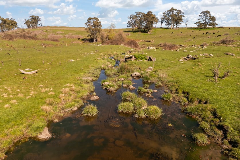 Click to view all images Millthorpe NSW 2798 - Image 3