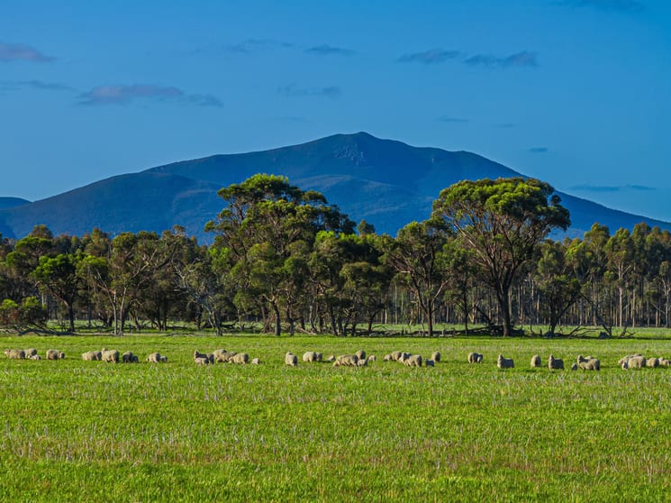 712 View Range Road Kendenup WA 6323 - Image 2