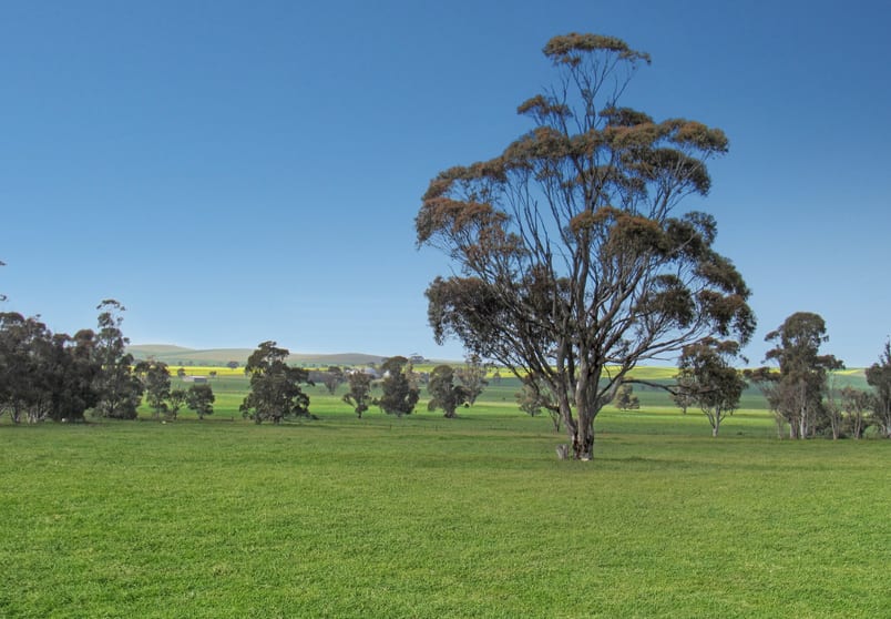 Click to view all images 1392 Yongala Vale Road Sunnybrae SA 5422 - Image 1