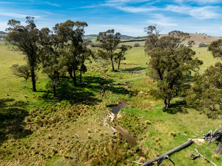 Click to view all images Lot 2, 1660 Edith Road Oberon NSW 2787 - Image 3