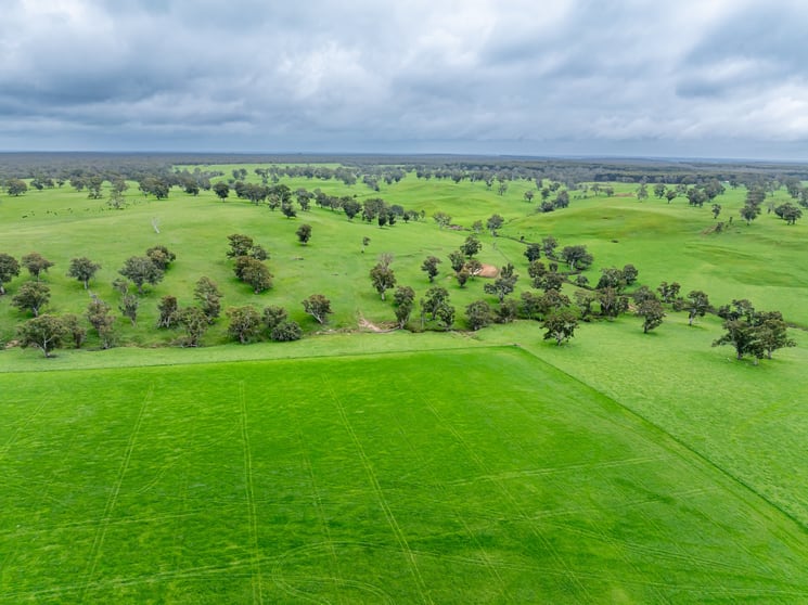 Click to view all images 3155 Casterton-Edenhope Road Chetwynd VIC 3312 - Image 2