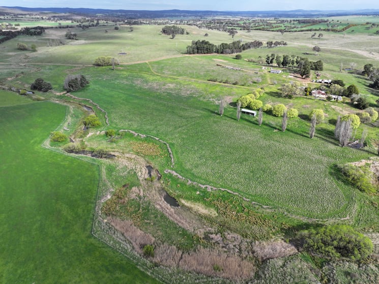 Click to view all images 4705 Gundaroo Road Gundaroo NSW 2620 - Image 2